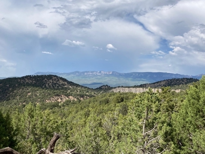 Basecamp for Adventure: 109 Acres across from Orvis Hot Springs - image 24