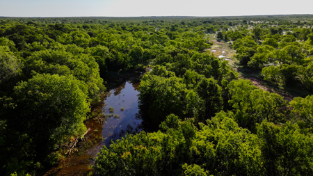Gorgeous 355 acres of Hunting and Ranch Land in Archer County TX - image 21