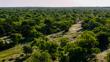Gorgeous 355 acres of Hunting and Ranch Land in Archer County TX - image 19