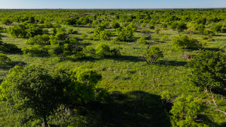 Gorgeous 355 acres of Hunting and Ranch Land in Archer County TX - image 31
