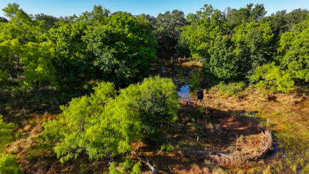 Gorgeous 355 acres of Hunting and Ranch Land in Archer County TX - image 33