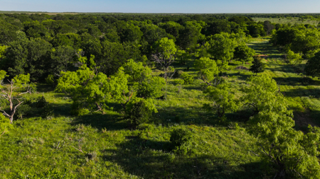 Gorgeous 355 acres of Hunting and Ranch Land in Archer County TX - image 30