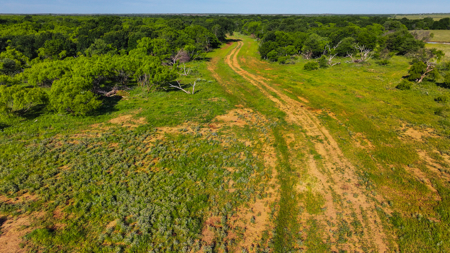 Gorgeous 355 acres of Hunting and Ranch Land in Archer County TX - image 42