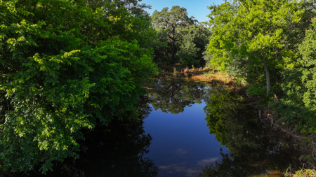 Gorgeous 355 acres of Hunting and Ranch Land in Archer County TX - image 34
