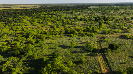 Gorgeous 355 acres of Hunting and Ranch Land in Archer County TX - image 14