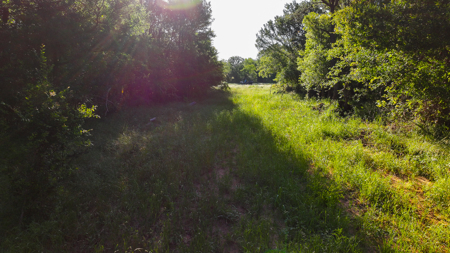 Gorgeous 355 acres of Hunting and Ranch Land in Archer County TX - image 24
