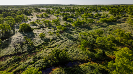 Gorgeous 355 acres of Hunting and Ranch Land in Archer County TX - image 48