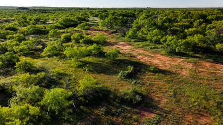 Gorgeous 355 acres of Hunting and Ranch Land in Archer County TX - image 5