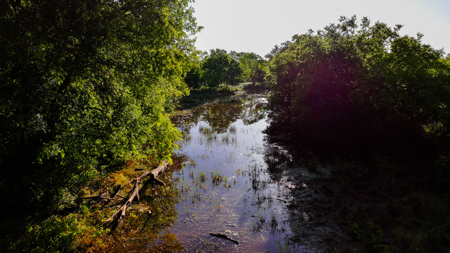 Gorgeous 355 acres of Hunting and Ranch Land in Archer County TX - image 22