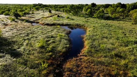 Gorgeous 355 acres of Hunting and Ranch Land in Archer County TX - image 1