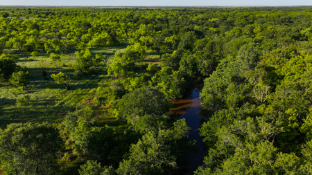Gorgeous 355 acres of Hunting and Ranch Land in Archer County TX - image 16
