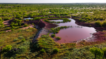 Gorgeous 355 acres of Hunting and Ranch Land in Archer County TX - image 49