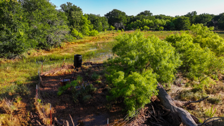 Gorgeous 355 acres of Hunting and Ranch Land in Archer County TX - image 35