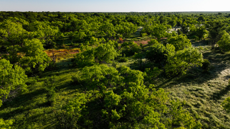 Gorgeous 355 acres of Hunting and Ranch Land in Archer County TX - image 47