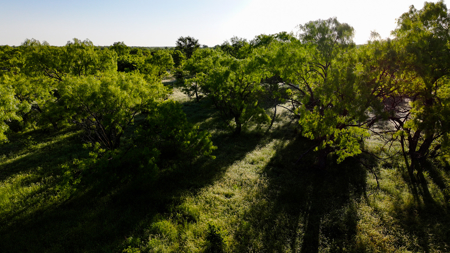 Gorgeous 355 acres of Hunting and Ranch Land in Archer County TX - image 46