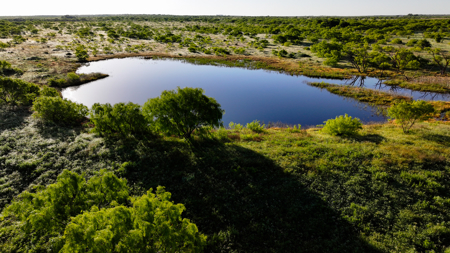 Gorgeous 355 acres of Hunting and Ranch Land in Archer County TX - image 8