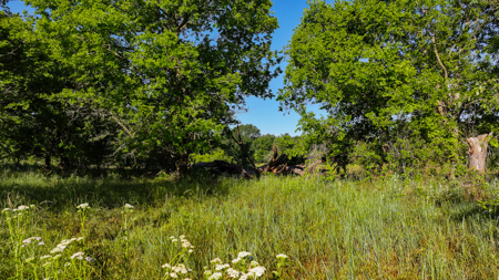 Gorgeous 355 acres of Hunting and Ranch Land in Archer County TX - image 36