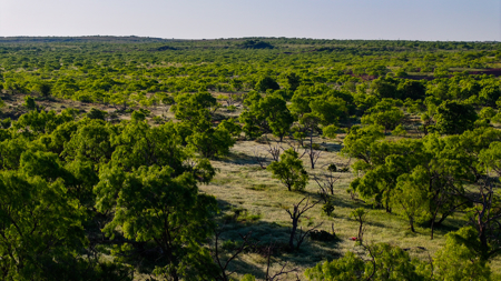 Gorgeous 355 acres of Hunting and Ranch Land in Archer County TX - image 18