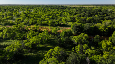 Gorgeous 355 acres of Hunting and Ranch Land in Archer County TX - image 20