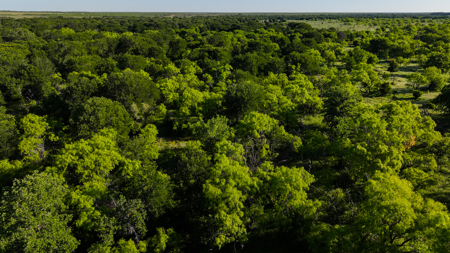 Gorgeous 355 acres of Hunting and Ranch Land in Archer County TX - image 29