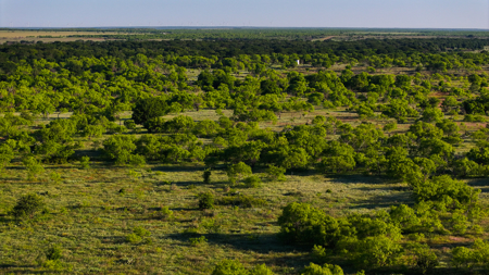 Gorgeous 355 acres of Hunting and Ranch Land in Archer County TX - image 13