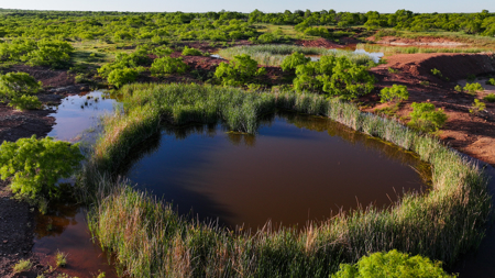 Gorgeous 355 acres of Hunting and Ranch Land in Archer County TX - image 3