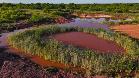 Gorgeous 355 acres of Hunting and Ranch Land in Archer County TX - image 4