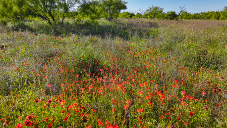 Gorgeous 355 acres of Hunting and Ranch Land in Archer County TX - image 37