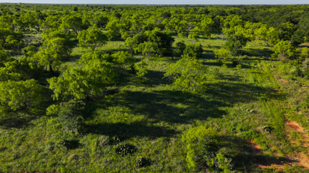 Gorgeous 355 acres of Hunting and Ranch Land in Archer County TX - image 28