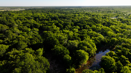 Gorgeous 355 acres of Hunting and Ranch Land in Archer County TX - image 45