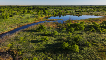 Gorgeous 355 acres of Hunting and Ranch Land in Archer County TX - image 9