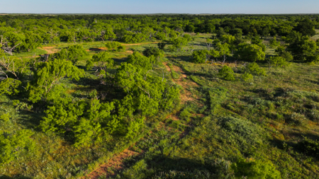 Gorgeous 355 acres of Hunting and Ranch Land in Archer County TX - image 10