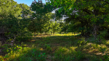 Gorgeous 355 acres of Hunting and Ranch Land in Archer County TX - image 32