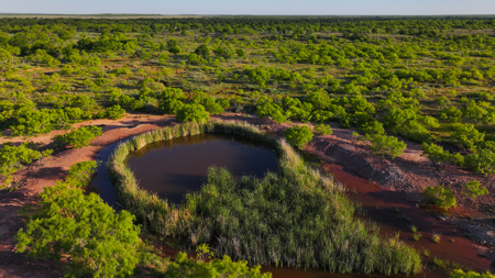 Gorgeous 355 acres of Hunting and Ranch Land in Archer County TX - image 50