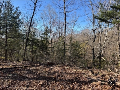 Newton County, Mockingbird Hill Land Acreage For Sale with Creek - image 2