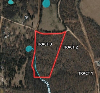 Newton County, Mockingbird Hill Land Acreage For Sale with Creek - image 7