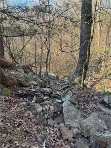 Newton County, Mockingbird Hill Land Acreage For Sale with Creek - image 4