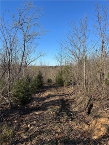 Newton County, Mockingbird Hill Land Acreage For Sale with Creek - image 3