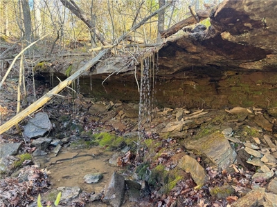 Newton County, Mockingbird Hill Land Acreage For Sale with Creek - image 1