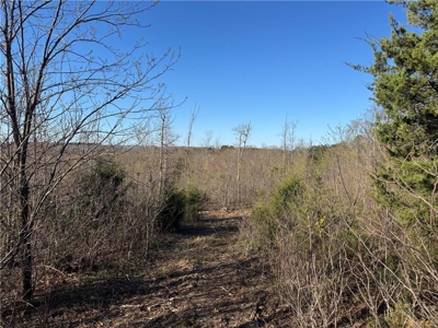 Newton County, Mockingbird Hill Land Acreage For Sale with Creek - image 5