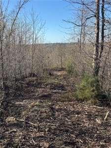 Newton County, Mockingbird Hill Land Acreage For Sale with Creek - image 6