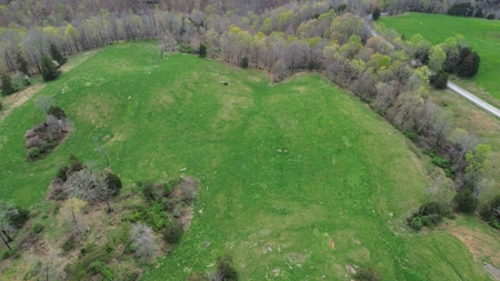 Unrestricted Land in Albany, Kentucky - image 5