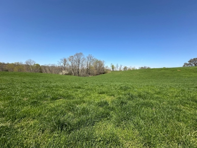 Unrestricted Land in Albany, Kentucky - image 17