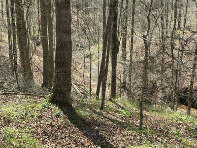 Unrestricted Land in Albany, Kentucky - image 27