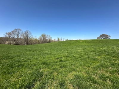 Unrestricted Land in Albany, Kentucky - image 12