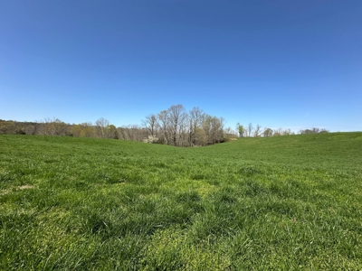 Unrestricted Land in Albany, Kentucky - image 10