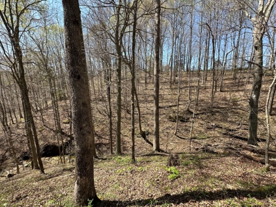 Unrestricted Land in Albany, Kentucky - image 26