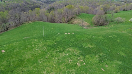 Unrestricted Land in Albany, Kentucky - image 3