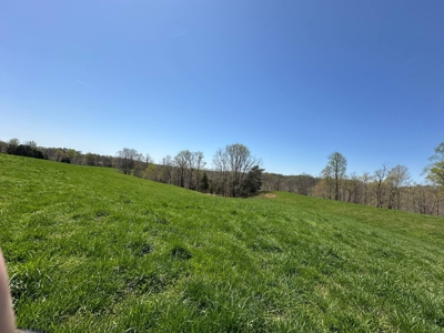 Unrestricted Land in Albany, Kentucky - image 13