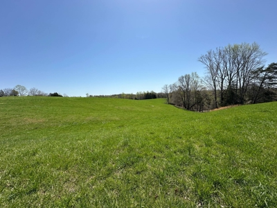 Unrestricted Land in Albany, Kentucky - image 22